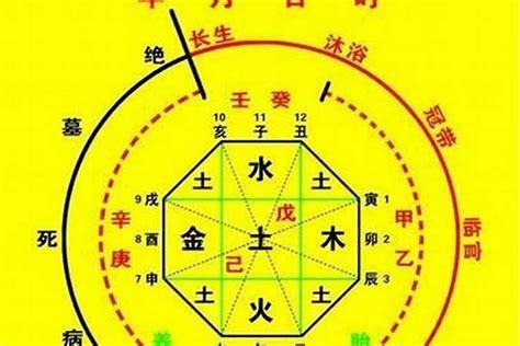 忌仇|八字的喜用神与忌神详解